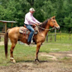 Meet your Posher, Derek